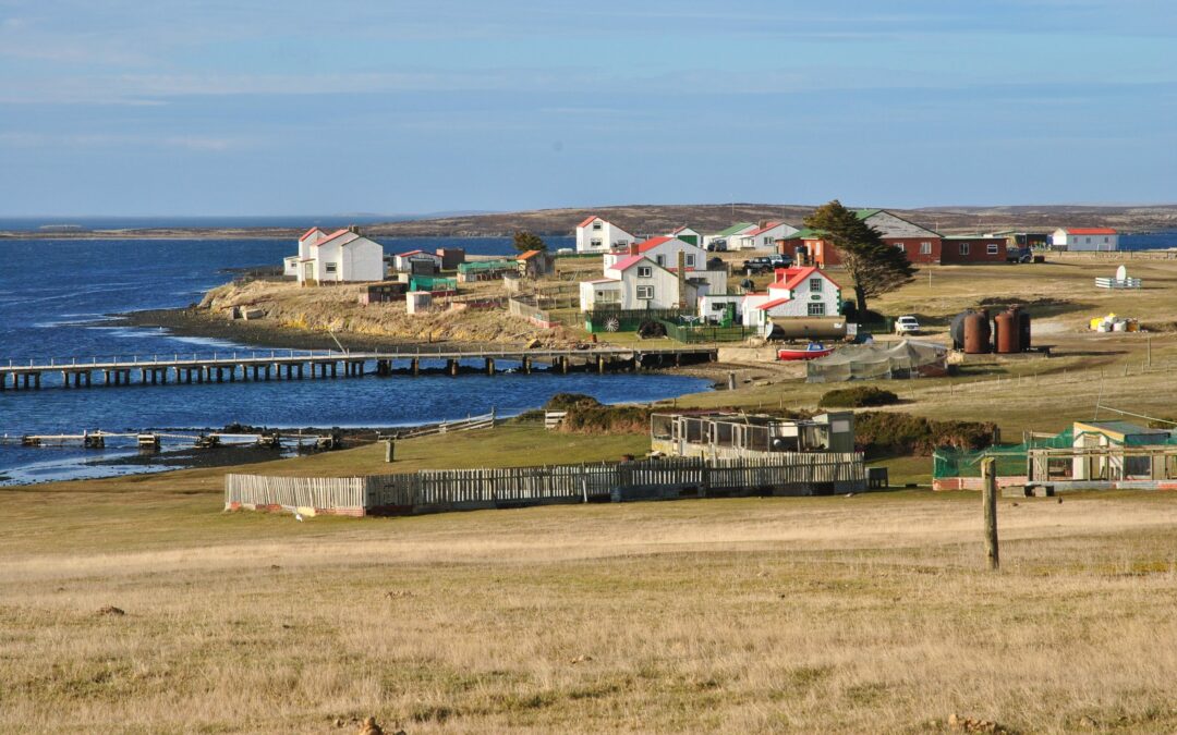 New Argentine government will step up demands to UK over Falklands, says top official