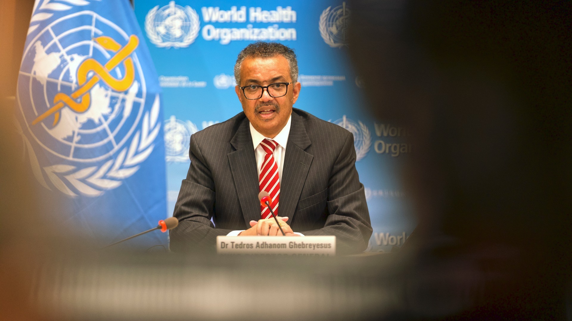 Who controls the World Health Organisation?