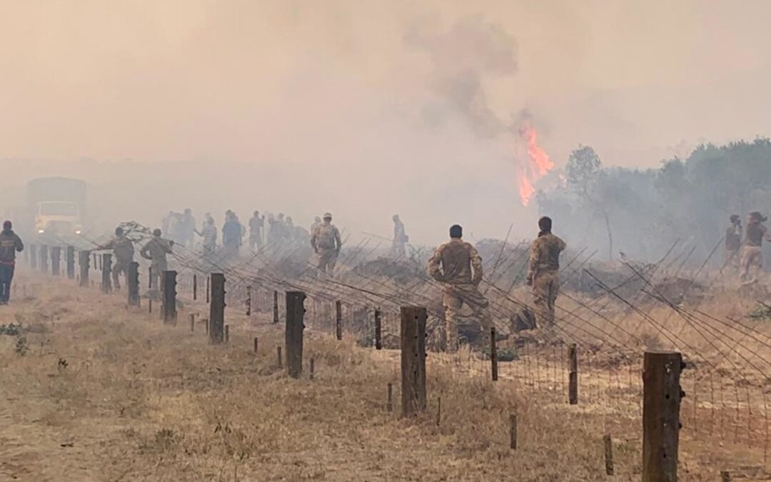 British army ignored five fires before sparking Kenya inferno